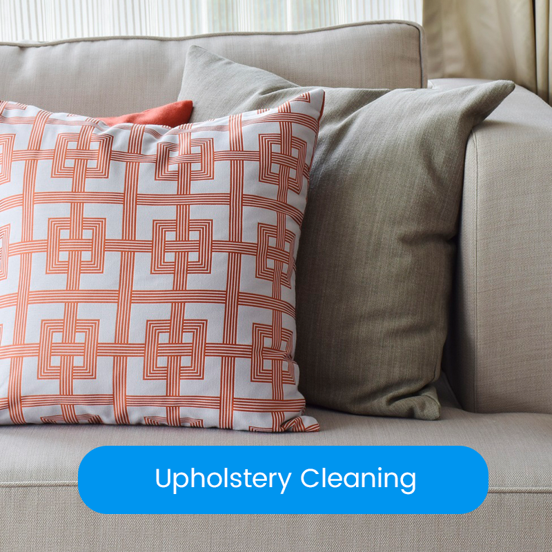 Trusted Local Cleaners Find Professional Carpet & Upholstery Cleaners